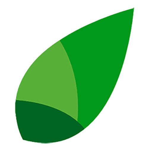 A fresh leaf logo